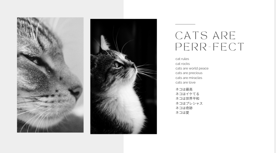 ピナコテーカ チビ ネコ にゃんこ 猫ちゃん アクセサリー 18金,pinacoteca CHIBI Neko Cat K18