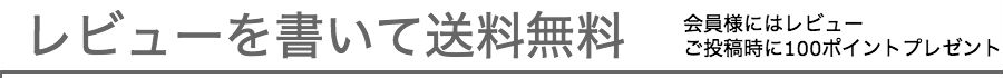 レビュー