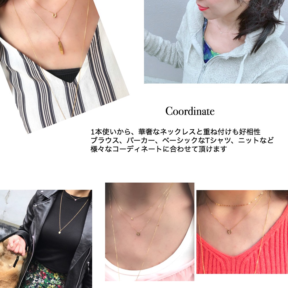 ピナコテーカ 351 タイニー ホースシュー 馬蹄 バテイ 華奢ネックレス 18金,pinacoteca Tiny Horseshoe Necklace K18